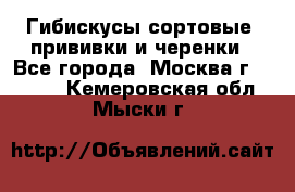 Гибискусы сортовые, прививки и черенки - Все города, Москва г.  »    . Кемеровская обл.,Мыски г.